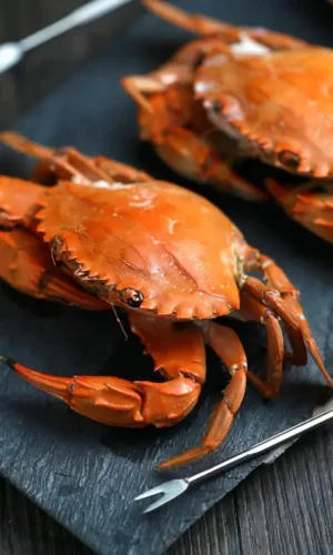 menu-sea-food-img2